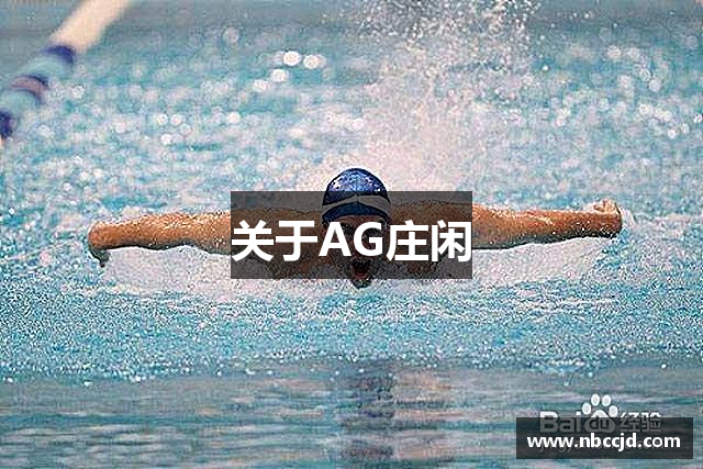 关于AG庄闲